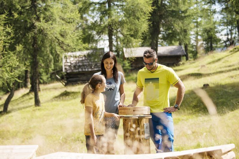 Apart- Chalet Gletschergluck Telfes im Stubai Esterno foto