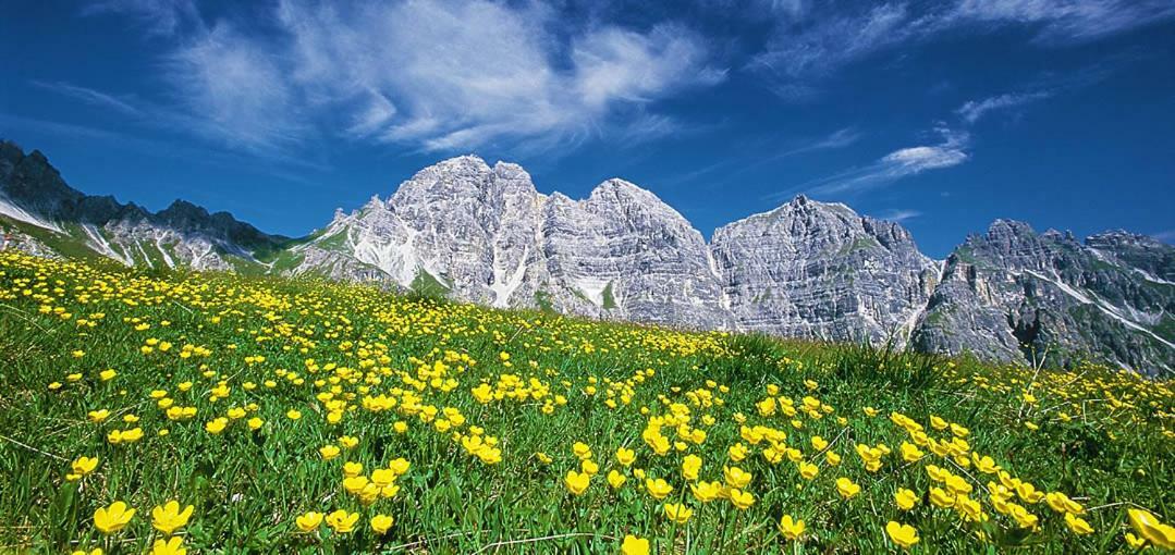 Apart- Chalet Gletschergluck Telfes im Stubai Esterno foto